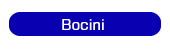 Bocilni